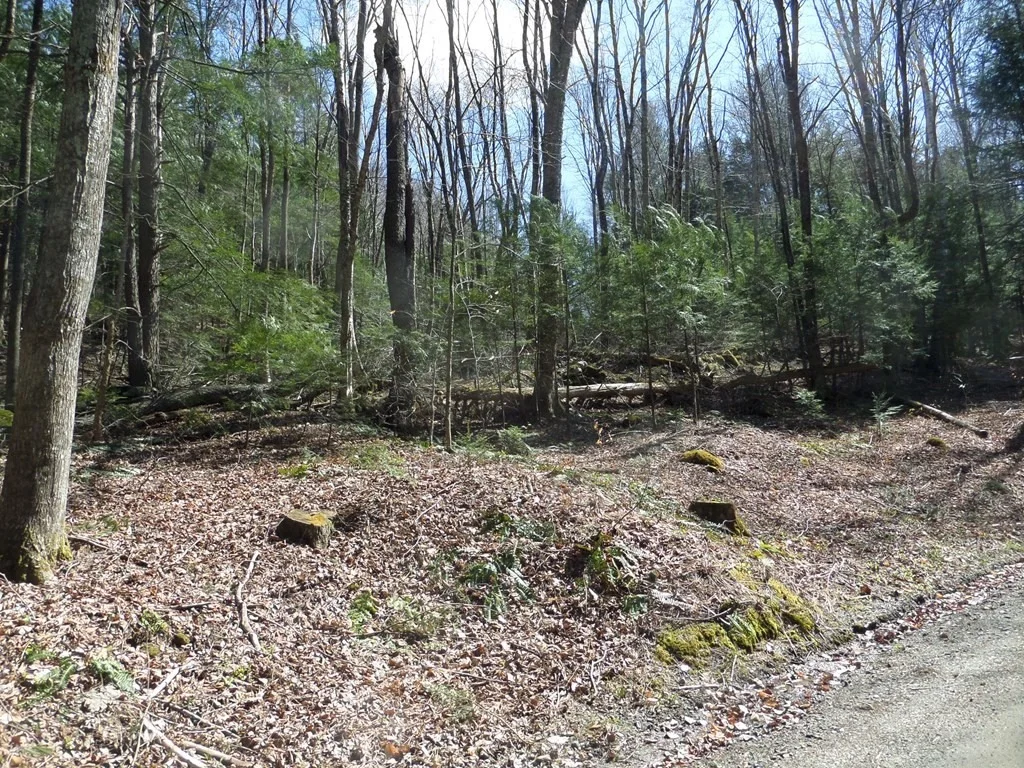 Photo of LOT 1 Thayer Hill Road