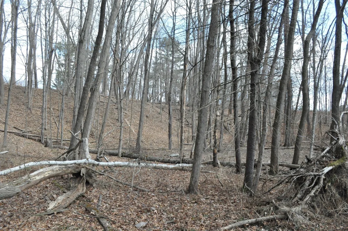Photo of 1010 Ryan Rd