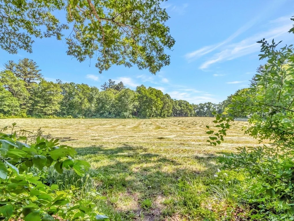 Photo of 12 Toad Island Road