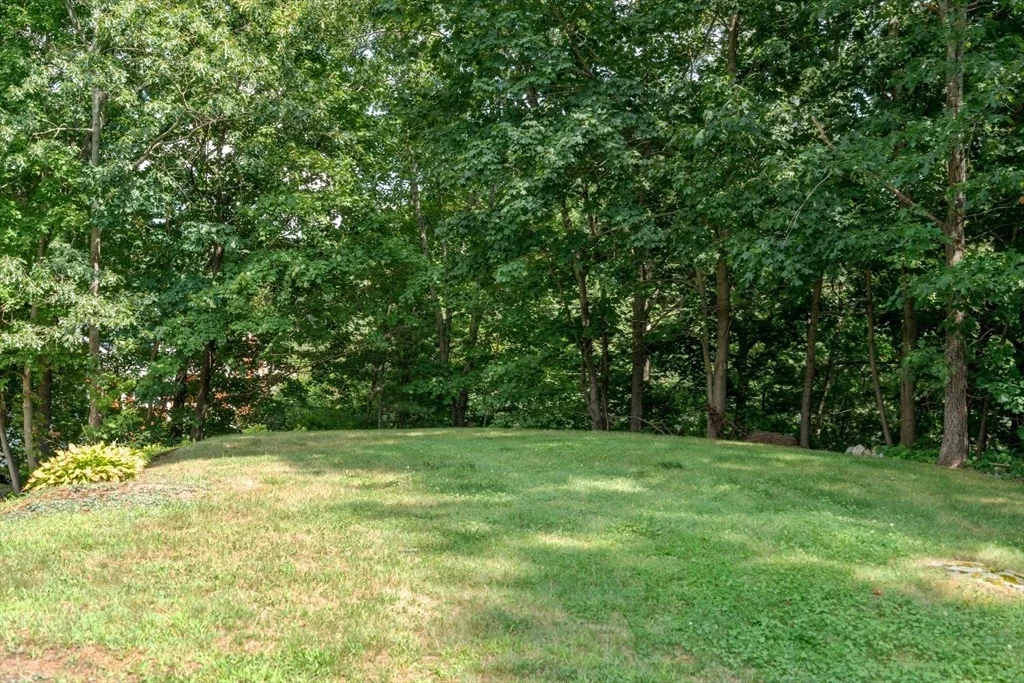 Photo of 42 Pine Swamp
