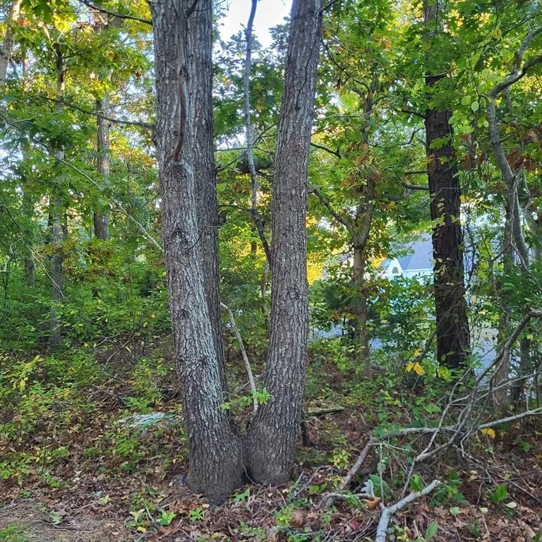 Photo of 10 Tecumseh Road