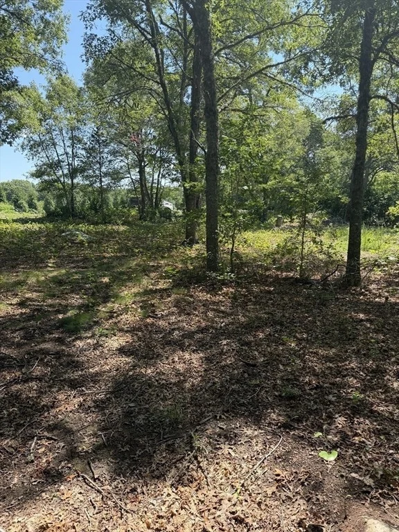 Photo of Lot 3 Thomas Cory Ln
