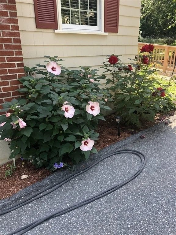 Photo of 144 Marblehead Street