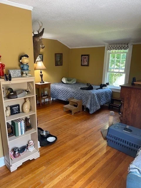 Photo of 374 Wilbraham Road