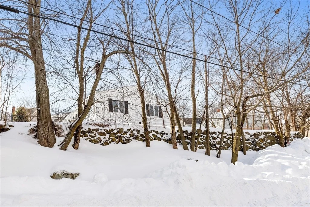 Photo of 24 Lily Street