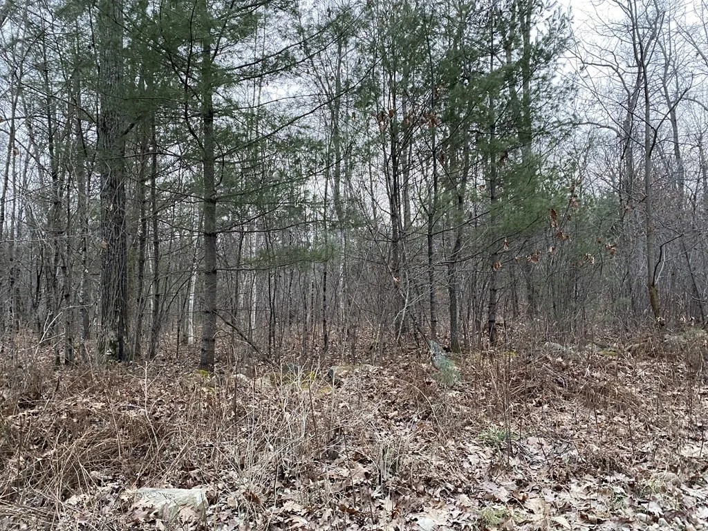 Photo of Lot 169-22 Beebe Rd
