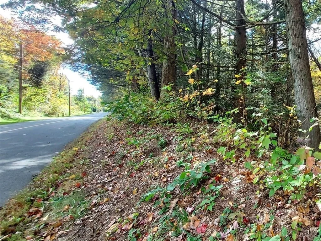 Photo of Lot 3 Harknesss Rd