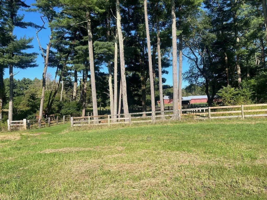 Photo of 295 Cherry St