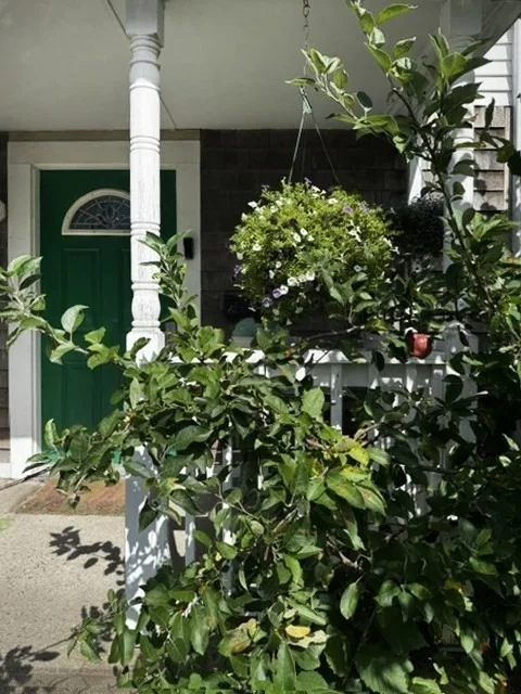 Photo of 8 May Street