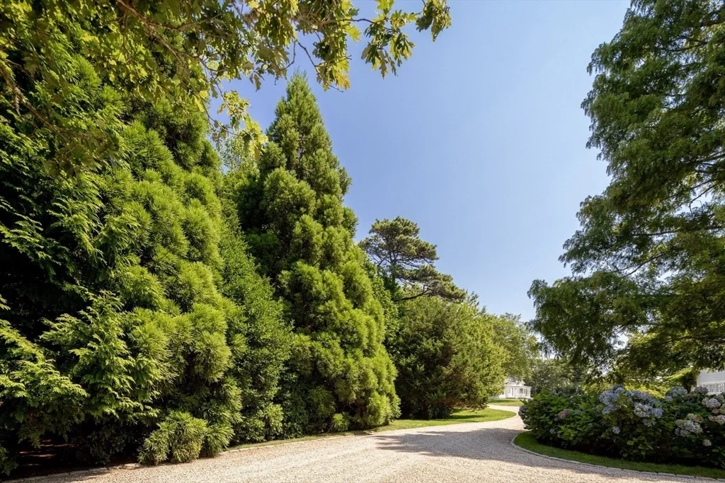 Photo of 41 Cobbs Hill Road
