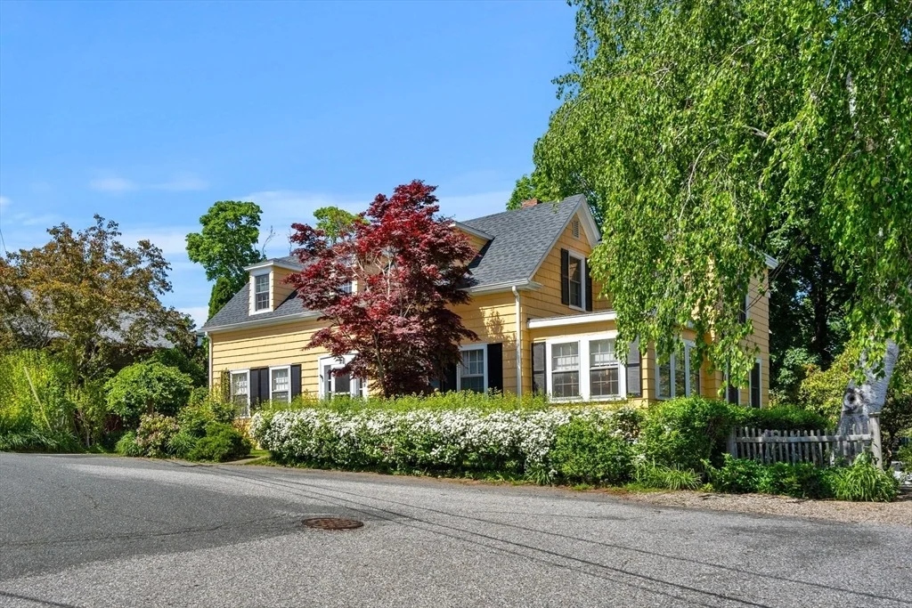 Photo of 15 Linden