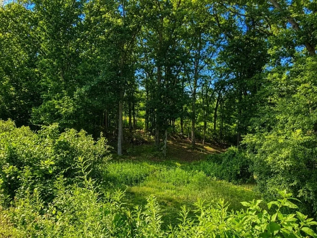 Photo of 9 Cold Spring Road