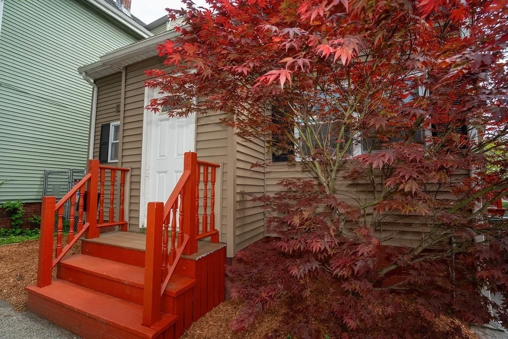 Photo of 66 Tudor St