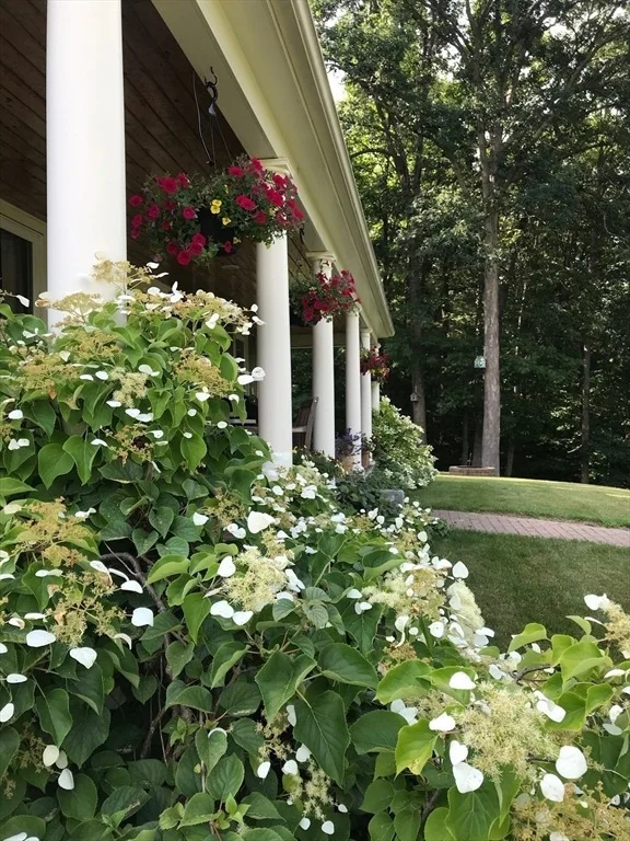 Photo of 39 Lovers Ln