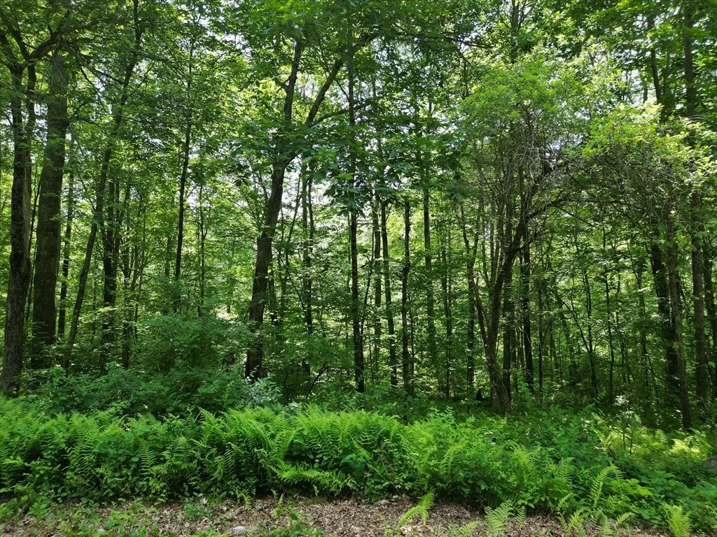 Photo of 0 Town Farm Rd