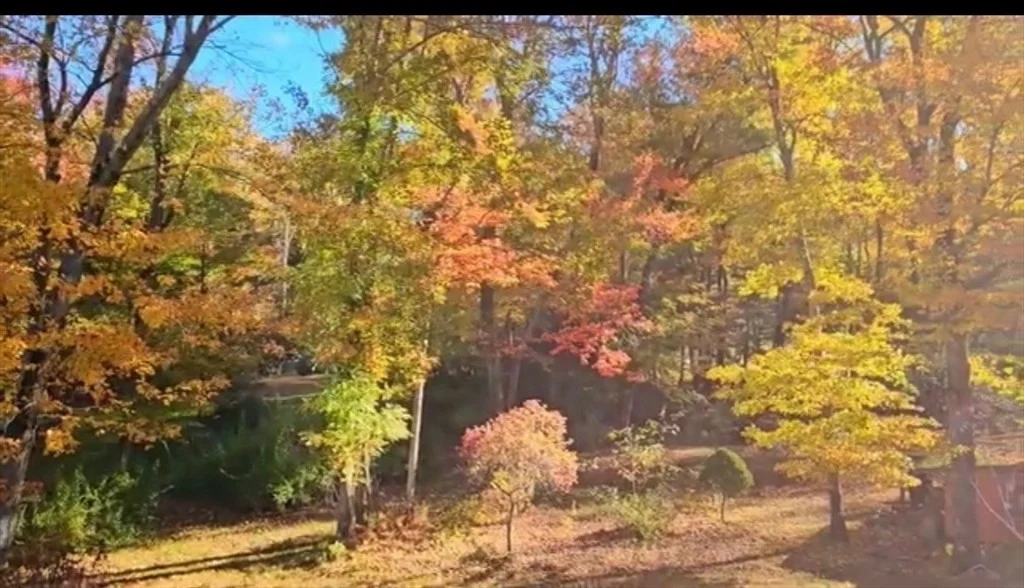 Photo of 72 Mile Ln