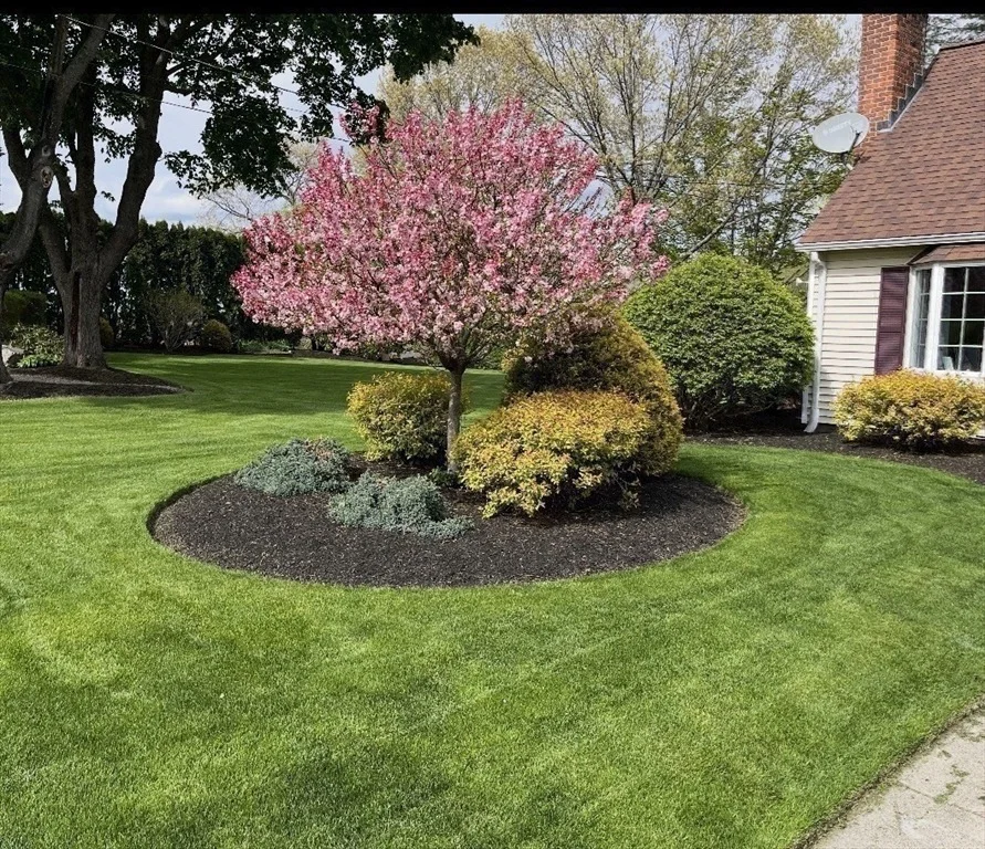 Photo of 16 Mount View Ave