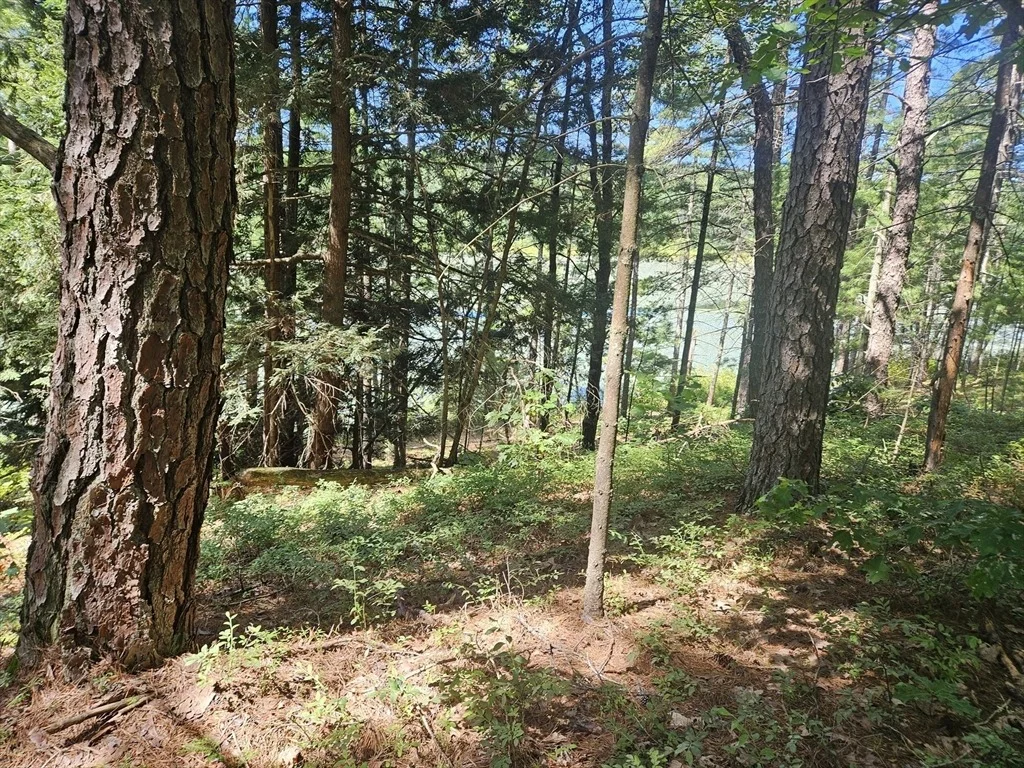Photo of 0 Branch Bridge Rd