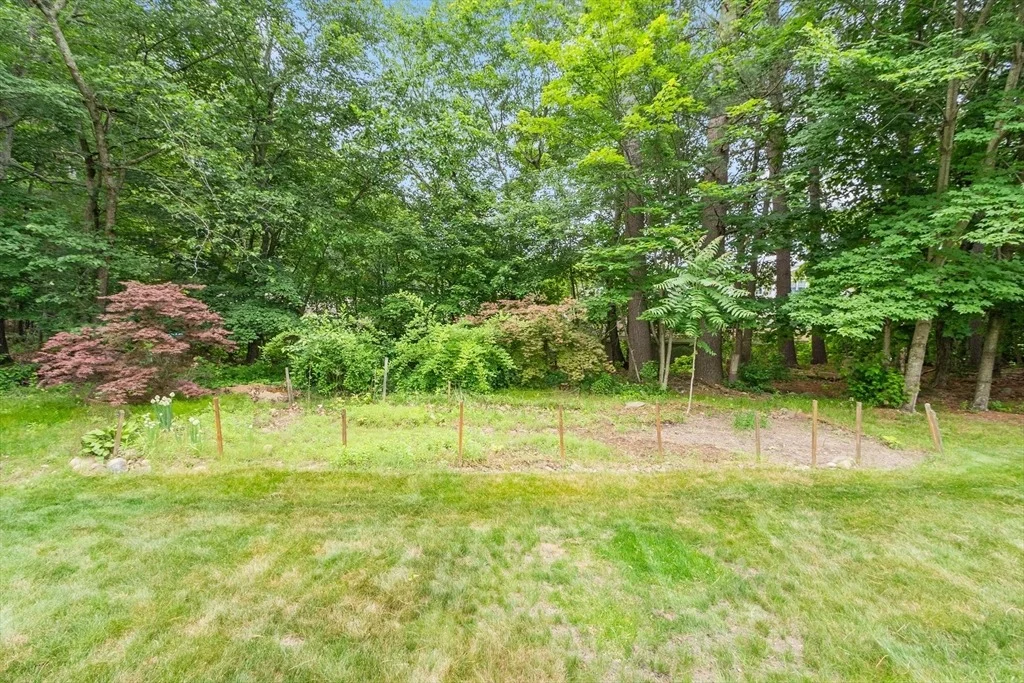 Photo of 45 Elm Ridge Rd