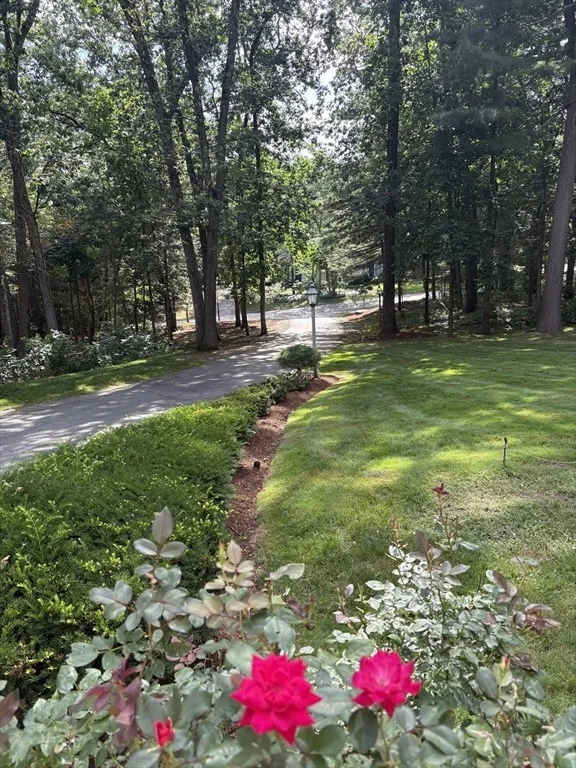 Photo of 105 Flint Farm Rd