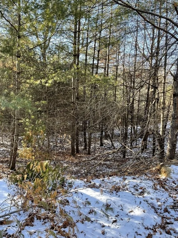 Photo of 14 Sewall Brook Lane
