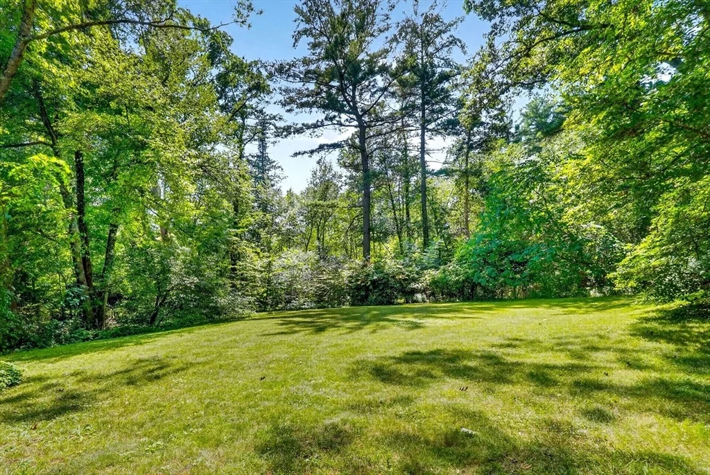Photo of 41 Taylor Rd