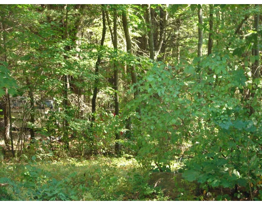 Photo of 44A Bear Hill Rd