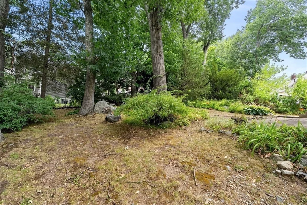 Photo of 77 Wright Street