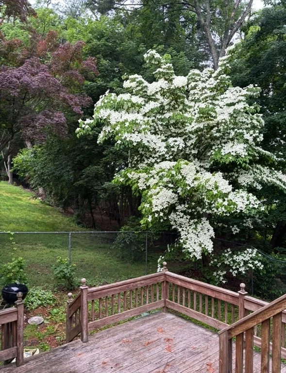 Photo of 18 Zenith Drive