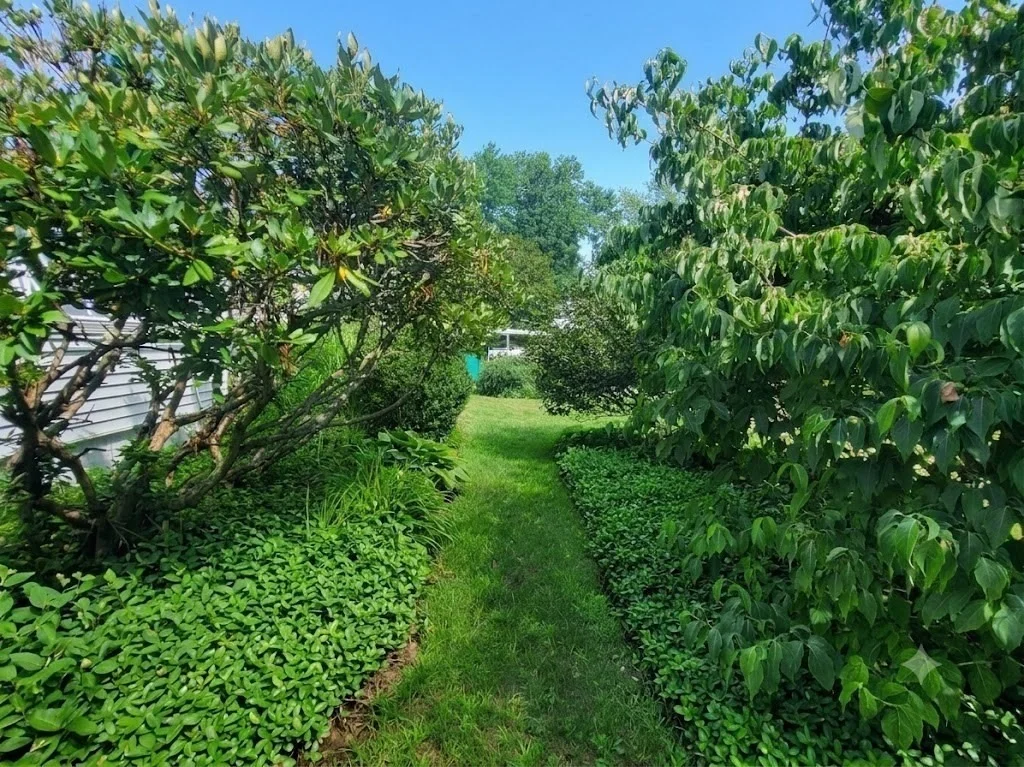 Photo of 19 Ferndale Drive