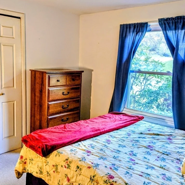 Photo of 41 Walnut Hill Dr
