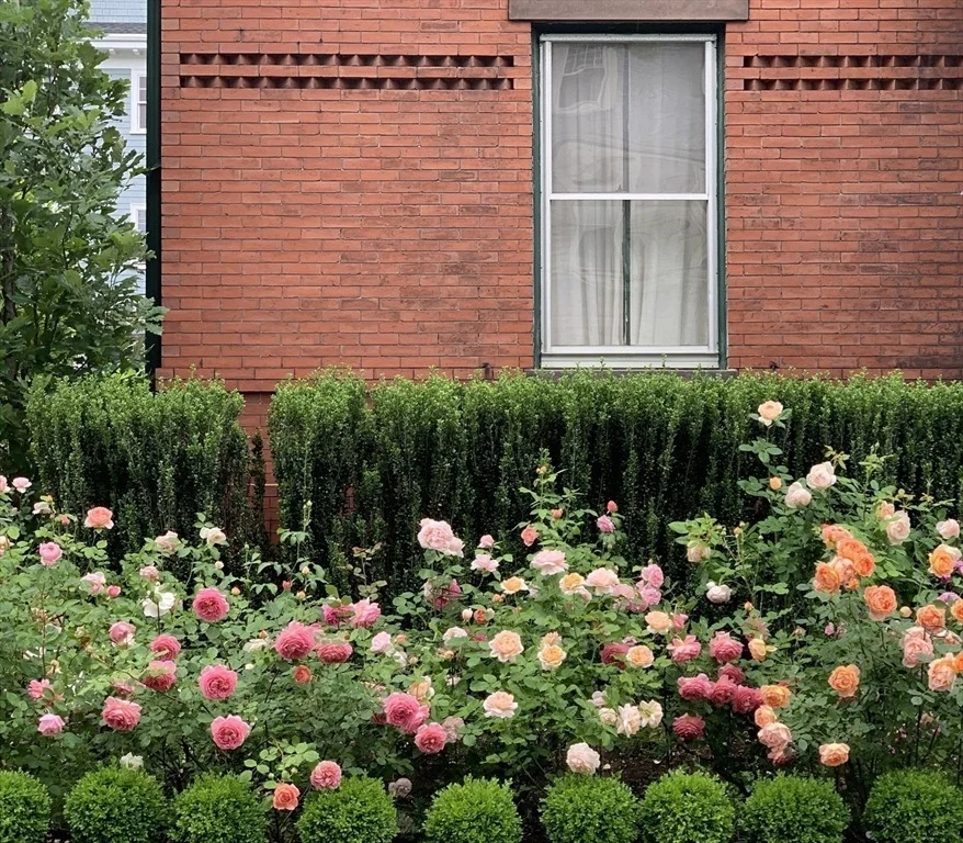 Photo of 43 Waverly Street