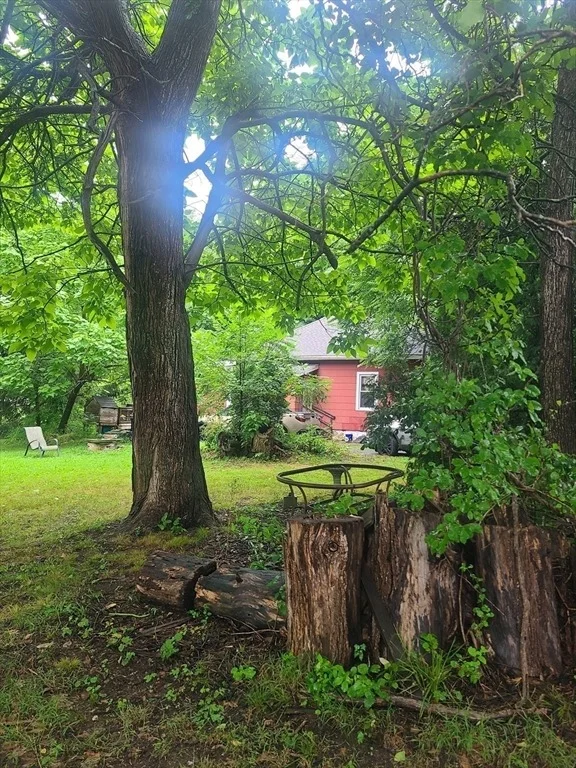 Photo of 8 White St