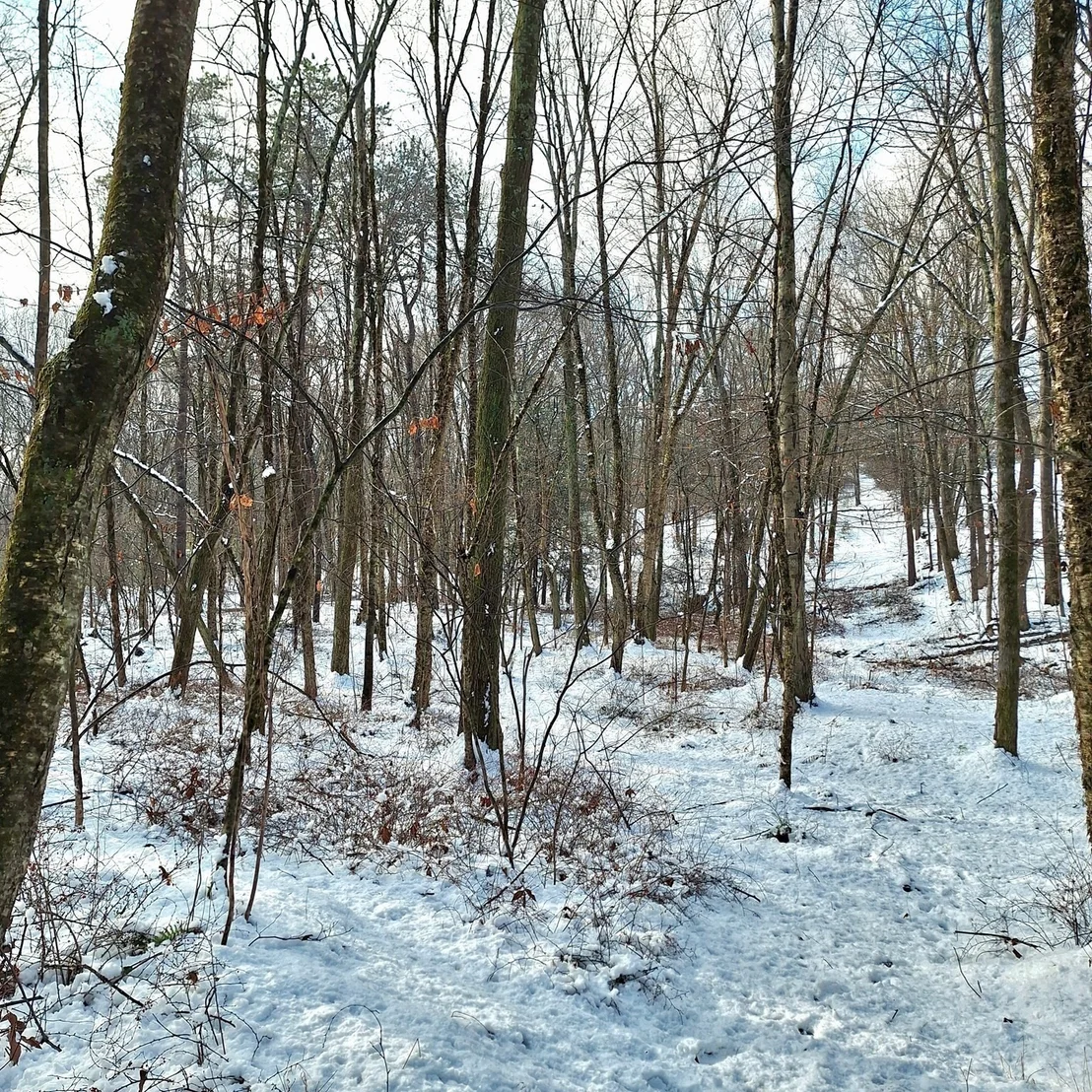 Photo of Lot 4 Mountain Rd
