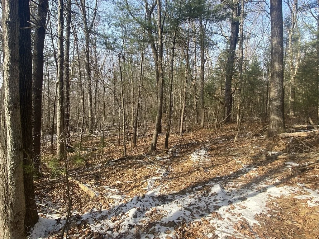 Photo of 121 & lt12 Sturbridge Rd