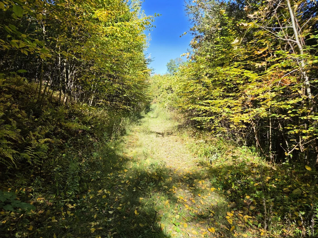 Photo of Lot 5A South Rd