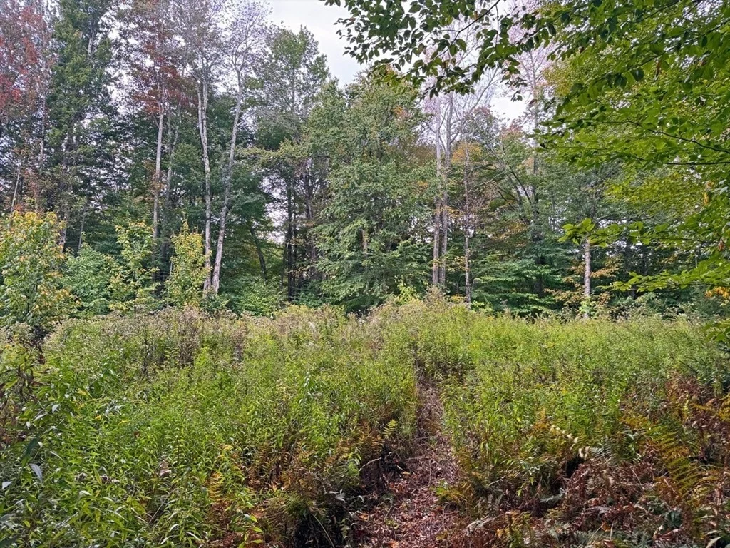 Photo of 60 Stone Hill Road