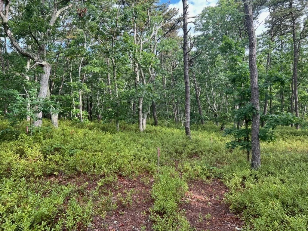 Photo of 37 Oak Valley Rd