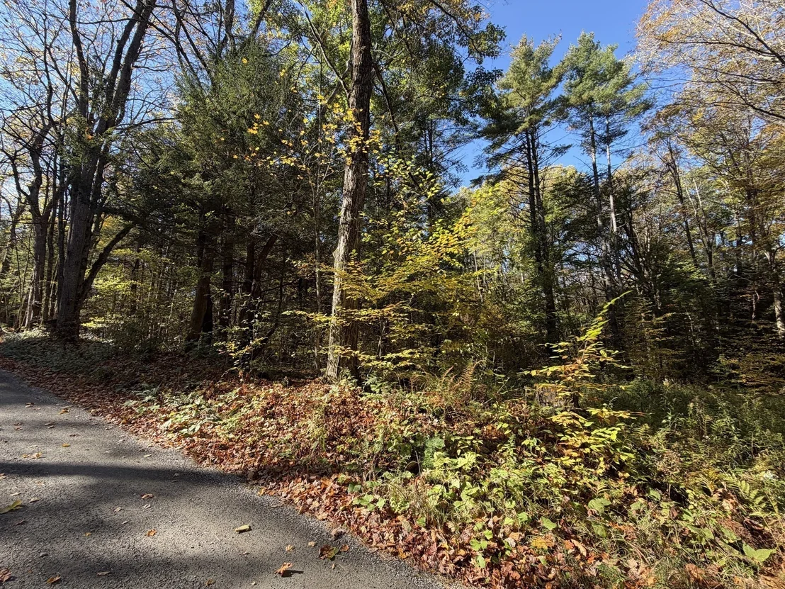 Photo of 232 River Rd