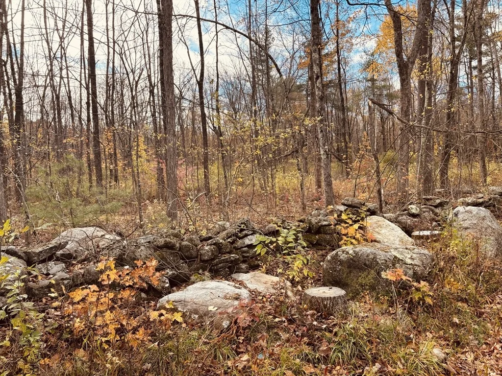 Photo of Lot 2 North Road