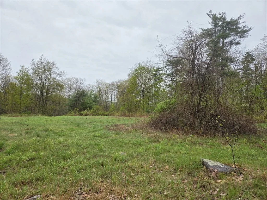 Photo of Lot 3F Petersham Road