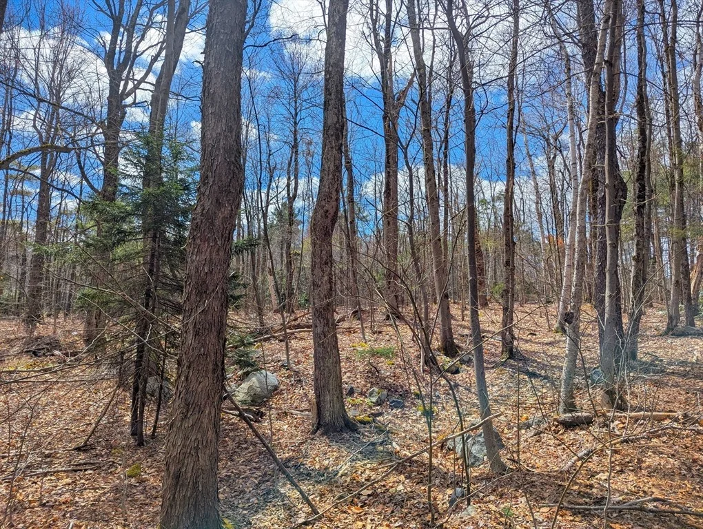 Photo of 0 Johnson Rd