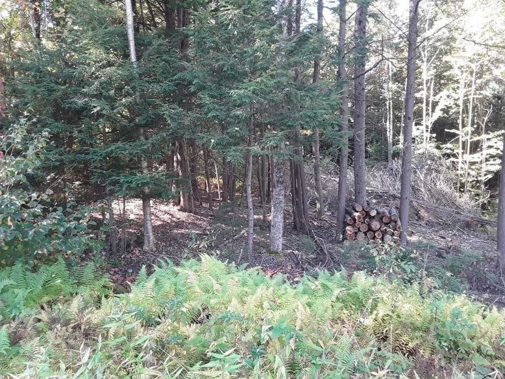 Photo of 296 Northwest Road