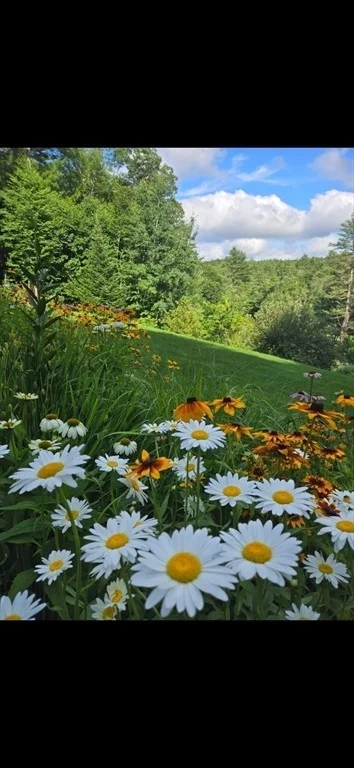 Photo of 493 Hubbardston Rd