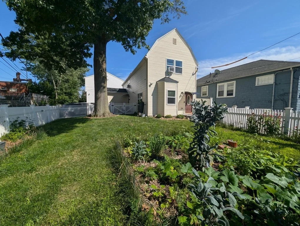 Photo of 35 Francis St