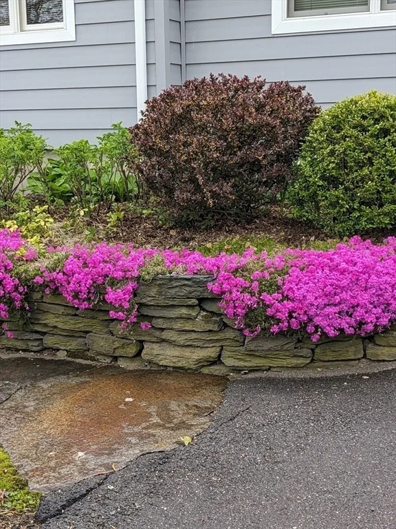 Photo of 60 Bay Rd