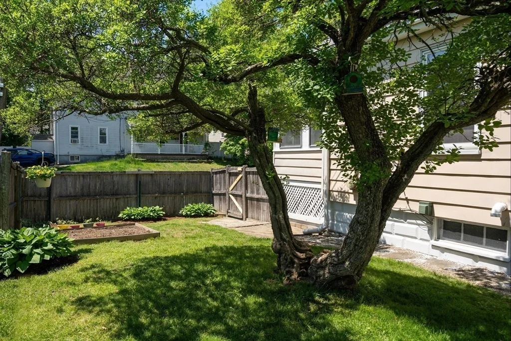 Photo of 352 Whiting