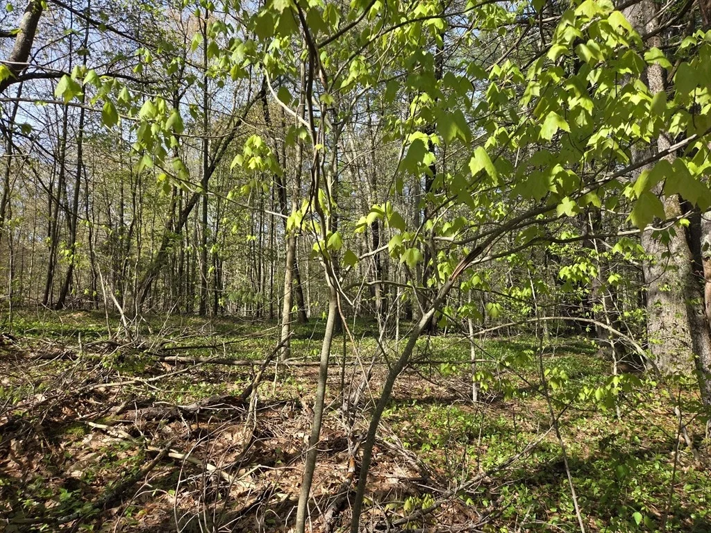Photo of Lot 12W Chicopee Drive