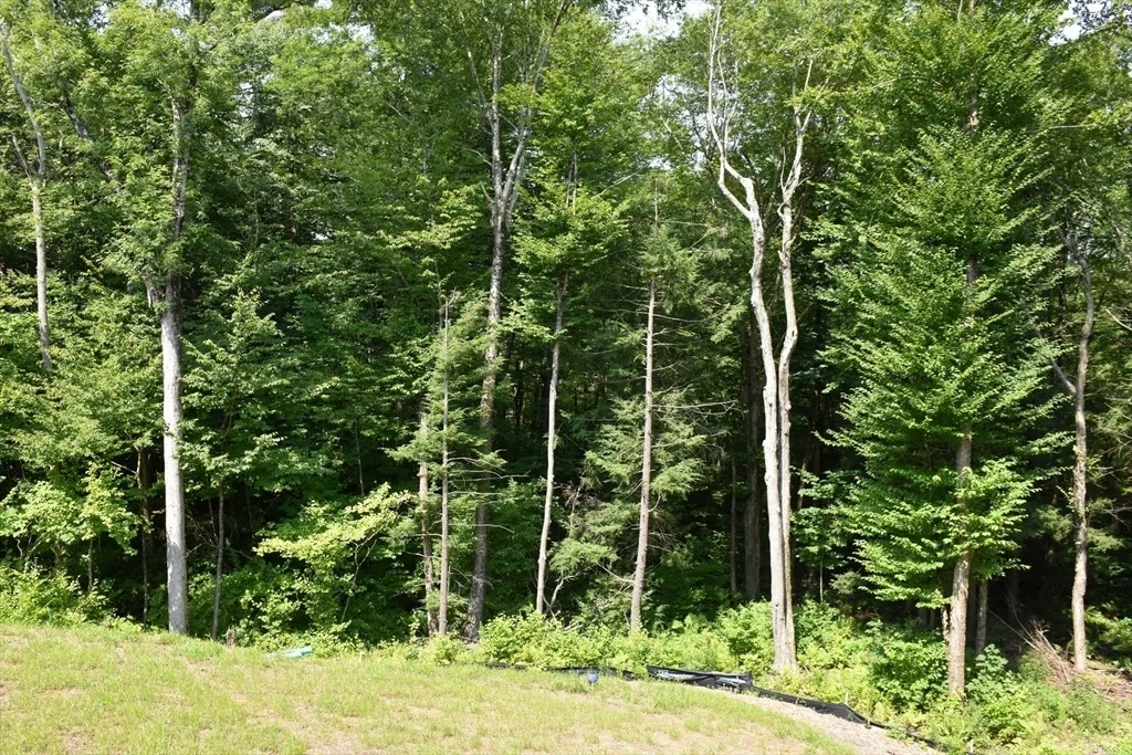 Photo of 12 Elliot Drive