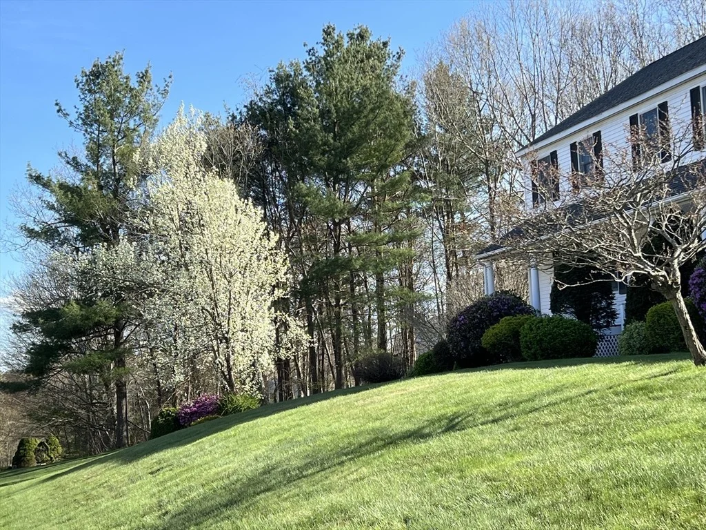 Photo of 11 Sanfred Road